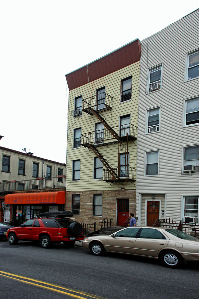 251 20th St in Brooklyn, NY - Building Photo - Building Photo