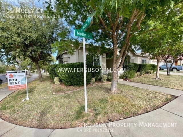 11 Molly Ct in Roseville, CA - Building Photo - Building Photo