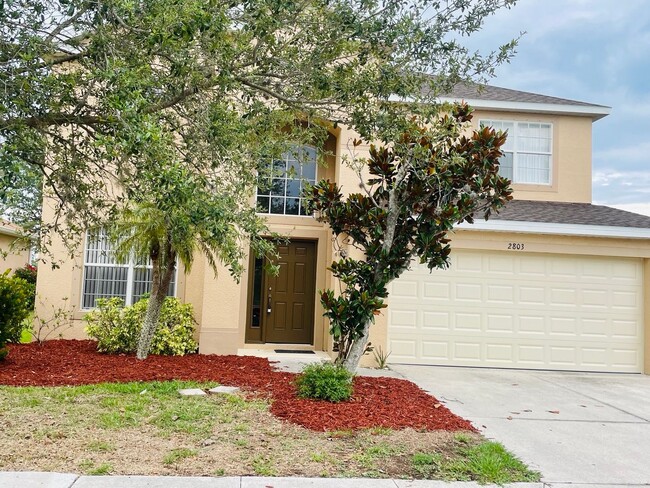 property at 2803 Suncoast Lakes Blvd