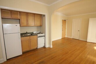 539 W Arlington Pl in Chicago, IL - Building Photo - Building Photo