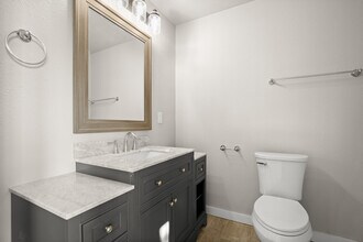 402 Twin Elm Dr in Canyon Lake, TX - Building Photo - Building Photo