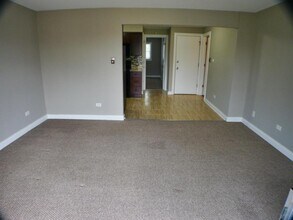 11937 S Hamlin Ave in Alsip, IL - Building Photo - Building Photo