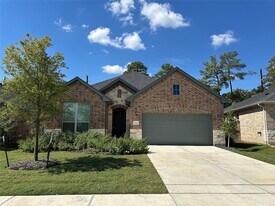 21815 Carballo Oak Trl in Tomball, TX - Building Photo
