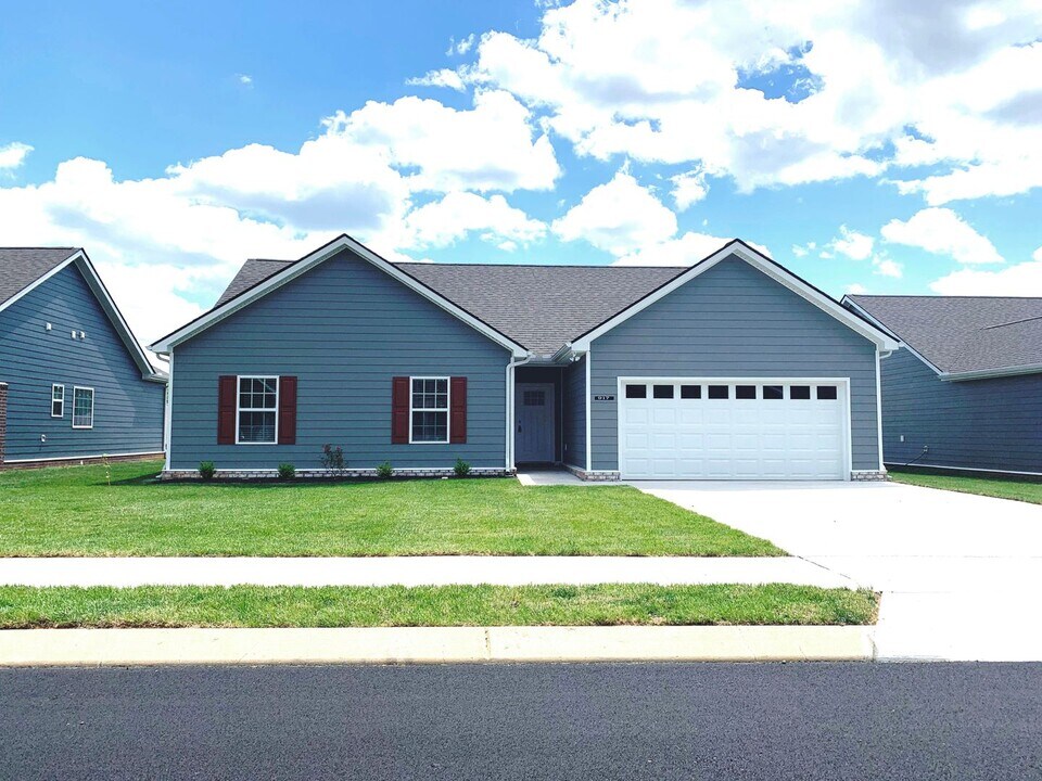 917 Stokewood Pl in Spring Hill, TN - Building Photo