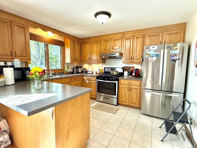 25 Ivy Ln in South Windsor, CT - Building Photo - Building Photo