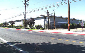 Plaza Garden Apartments in Turlock, CA - Building Photo - Building Photo