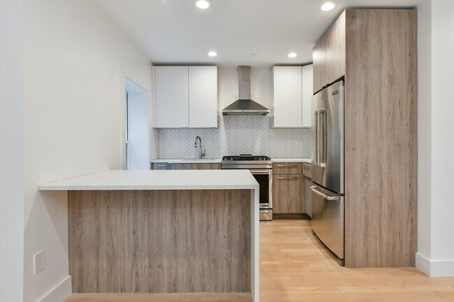55 E Springfield St, Unit 4 in Boston, MA - Building Photo - Building Photo