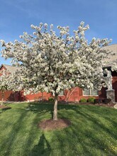 1918 Ranger Dr-Unit -1918 Ranger Dr in Columbia, MO - Building Photo - Building Photo