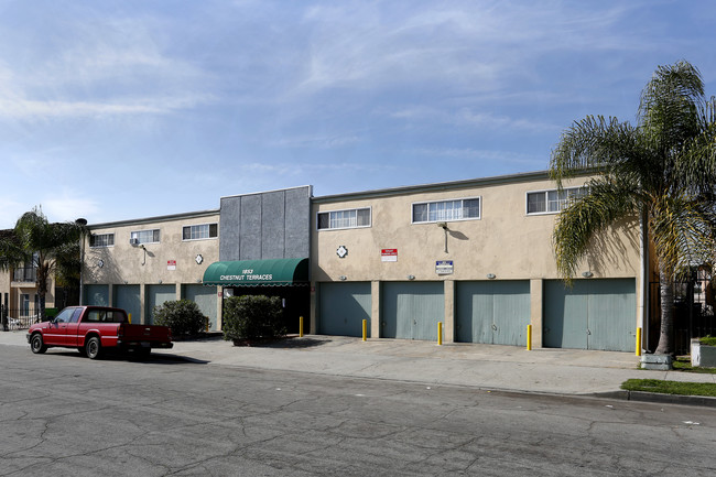 Chestnut Terraces in Long Beach, CA - Building Photo - Building Photo