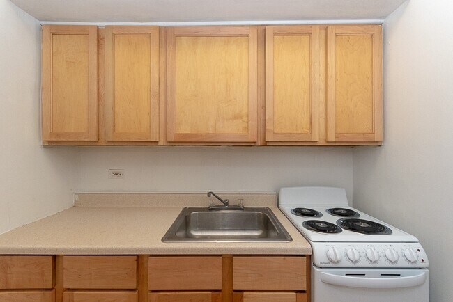 539 W Arlington Pl in Chicago, IL - Building Photo - Building Photo