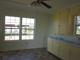 4111 Stapper Rd in Saint Hedwig, TX - Building Photo