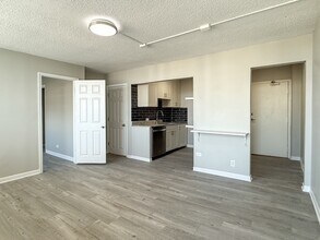 2740 N Pine Grove Ave in Chicago, IL - Building Photo - Building Photo