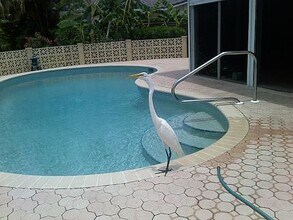 537 Halyard Ln in Longboat Key, FL - Building Photo - Building Photo