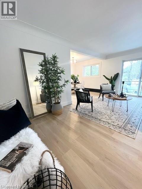 property at 11 Olympic Dr