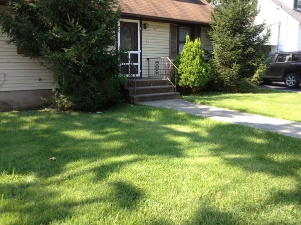 property at 17 Wright St