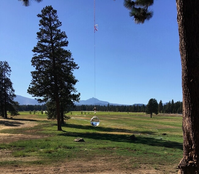 373 S Pine Meadow St in Sisters, OR - Building Photo - Building Photo