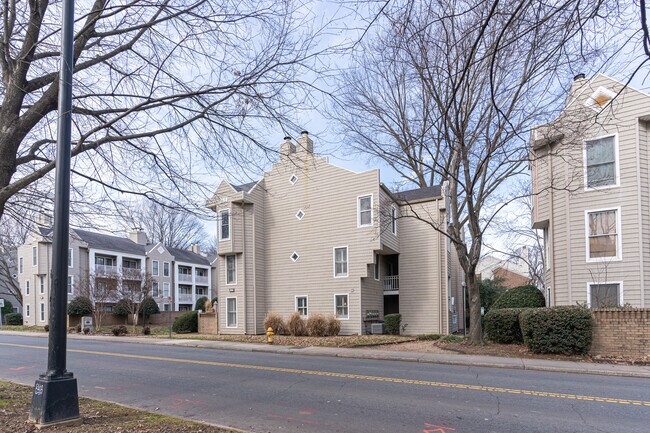 244 S Cedar St, Unit 1 in Charlotte, NC - Building Photo - Building Photo