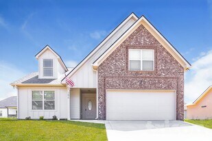 296 Fieldstone Ln in Springfield, TN - Building Photo