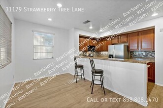 31179 Strawberry Tree Ln in Temecula, CA - Building Photo - Building Photo