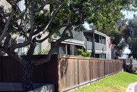 Eucalyptus Grove Apartments in San Diego, CA - Foto de edificio - Building Photo