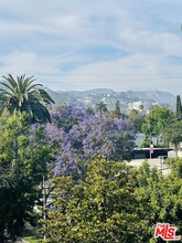 1041 N Spaulding Ave in West Hollywood, CA - Building Photo - Building Photo