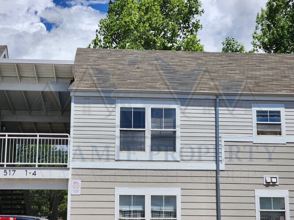 517 Mitchell St in Laramie, WY - Building Photo