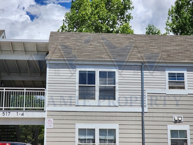 property at 517 Mitchell St