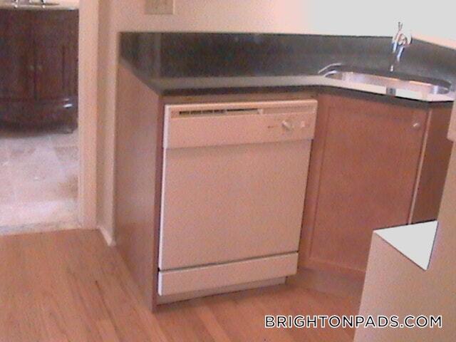 20 Colborne Rd in Boston, MA - Building Photo