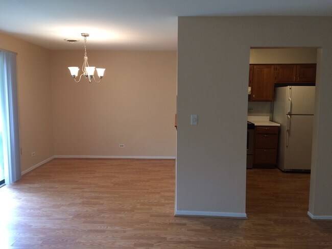 260 E Court of Shorewood in Vernon Hills, IL - Building Photo - Building Photo