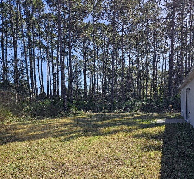 163 Ullian Trail in Palm Coast, FL - Building Photo - Building Photo