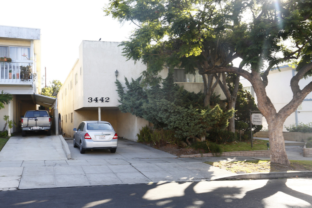 3442 Jasmine Ave in Los Angeles, CA - Building Photo