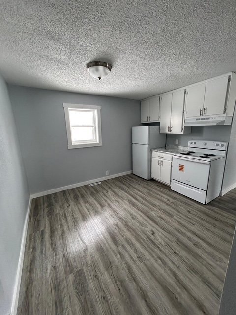 410 W Lyon Ave in Lake City, MN - Building Photo - Building Photo