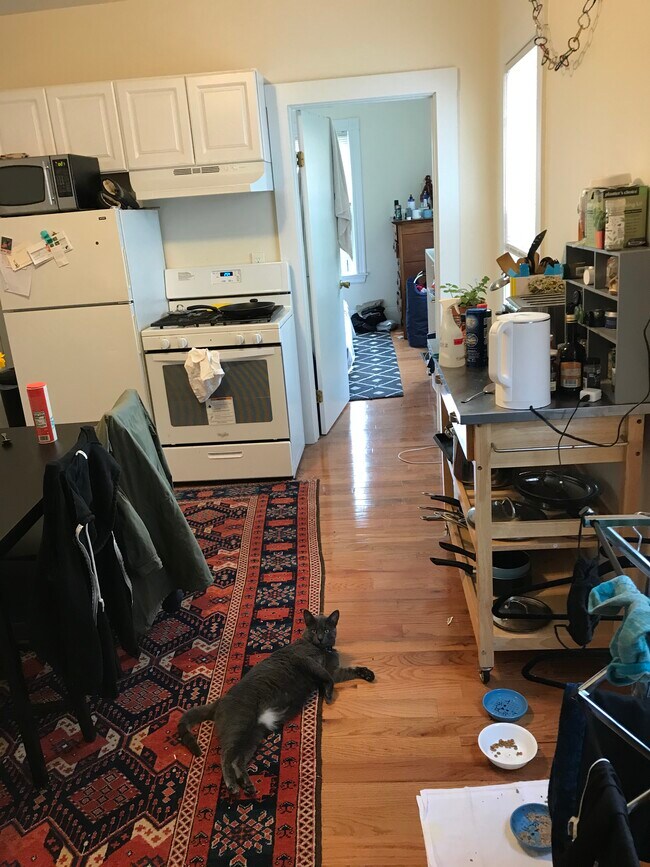 181 Tremont St, Unit 2 in Somerville, MA - Building Photo - Building Photo