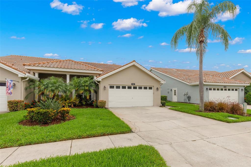 1749 Arabian Ln in Palm Harbor, FL - Building Photo