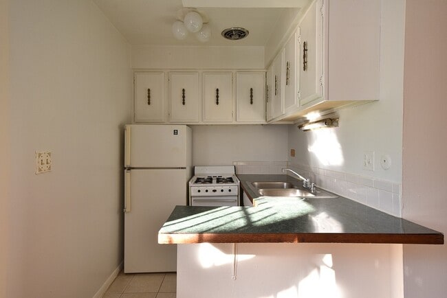 663 W Grace St in Chicago, IL - Building Photo - Building Photo