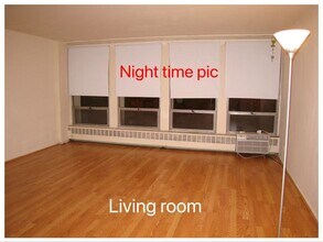 1451 E 55th St in Chicago, IL - Building Photo - Building Photo