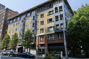 Belltown Apartments For Rent From 900 Seattle Wa The Shelby Apartments