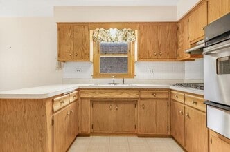 2520 N Neva Ave in Chicago, IL - Foto de edificio - Building Photo