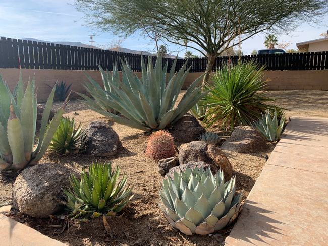 71590 Juanita Dr in Twentynine Palms, CA - Building Photo - Building Photo