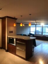 201 E Chestnut St in Chicago, IL - Building Photo - Building Photo