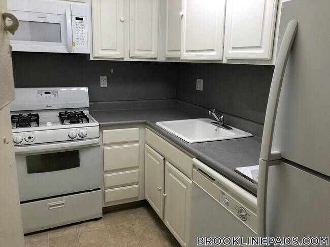 175 Freeman St in Brookline, MA - Building Photo - Building Photo