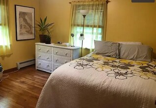 157 Separatist Rd in Storrs Mansfield, CT - Building Photo - Building Photo