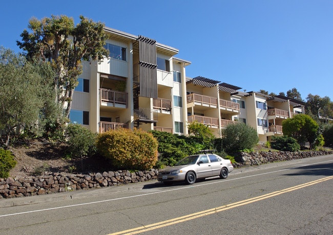 588 S Elieso Dr in Greenbrae, CA - Foto de edificio - Building Photo