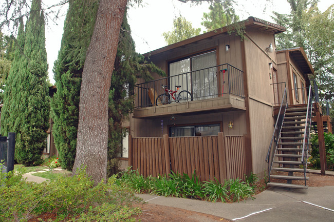 Quail Terrace Apartments in Stockton, CA - Building Photo - Building Photo