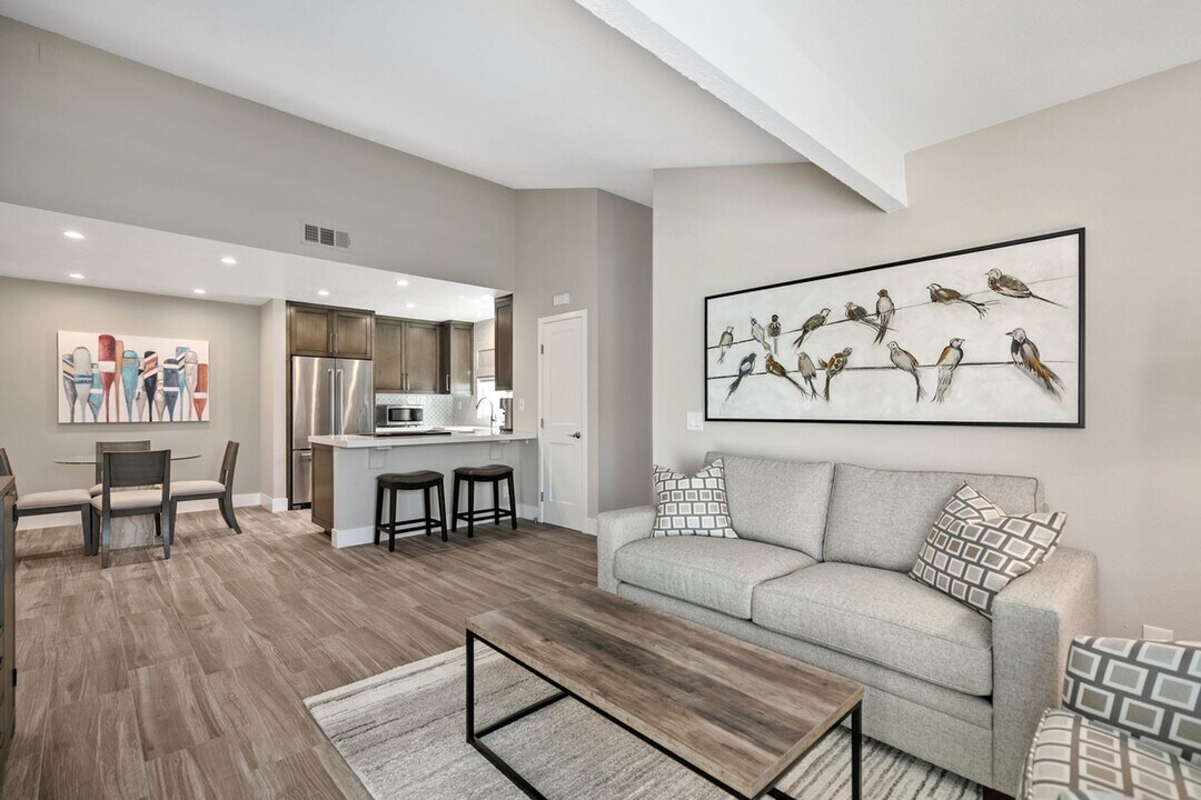 34148 Selva Rd in Dana Point, CA - Building Photo