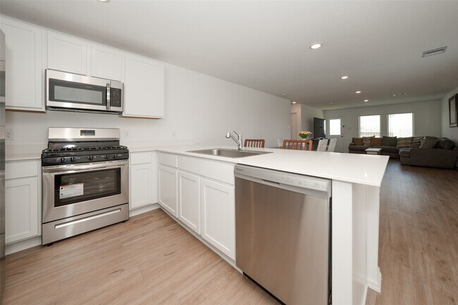 26706 Paloma Blanca Dr in Katy, TX - Building Photo - Building Photo