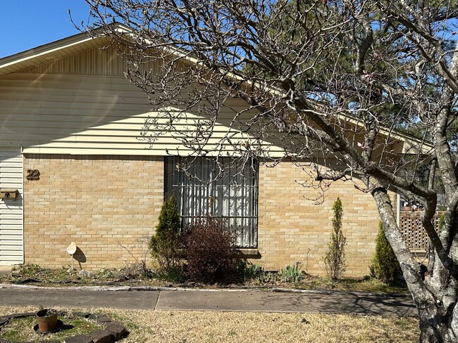 22 Detroit St in Little Rock, AR - Building Photo - Building Photo