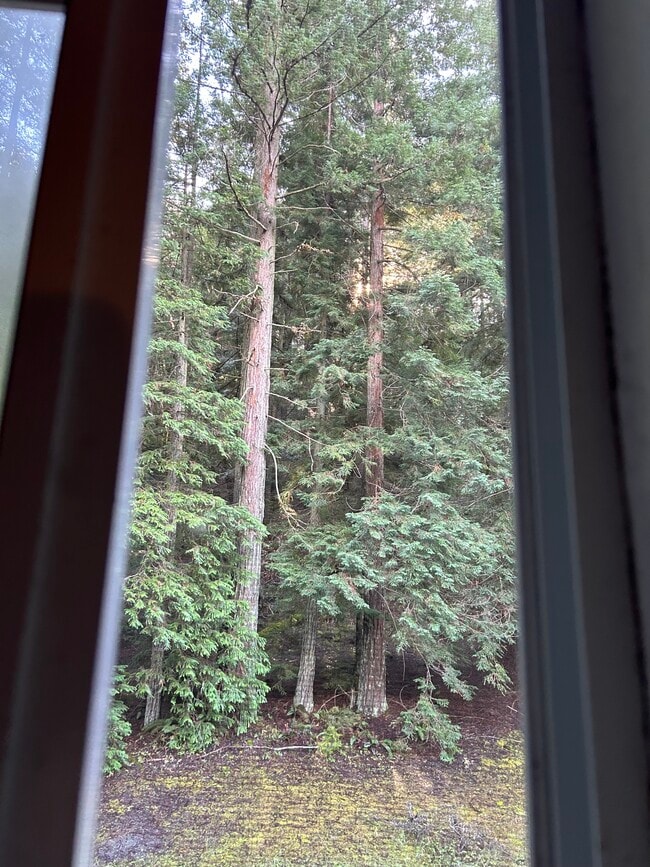 property at 41500 Wilderness Lodge Rd