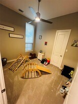 217 Sky Top Dr in Montgomery, TX - Building Photo