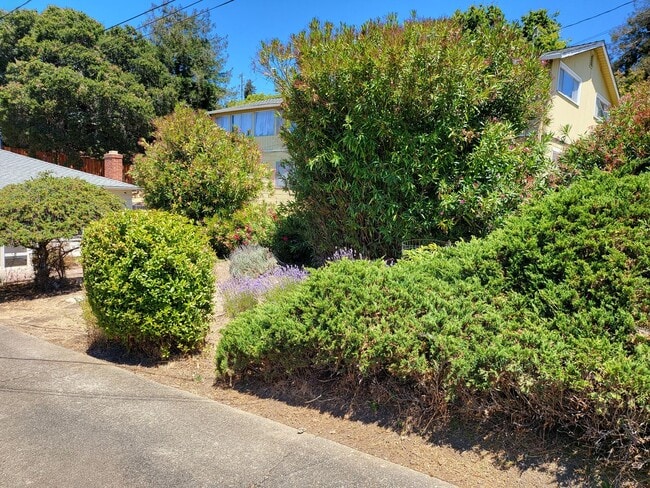 7351 Hotchkiss Ave in El Cerrito, CA - Building Photo - Building Photo